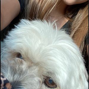 Meet your Posher, Addie